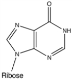 <strong>Inosine, one of the common alternative bases found in RNA, is shown below. How would inosine form hydrogen bonds in a double helical section of RNA?  </strong> A) 1 H-bond donor group, 0 H-bond acceptor groups B) 0 H-bond donor groups, 1 H-bond acceptor group C) 1 H-bond donor group, 1 H-bond acceptor group D) 2 H-bond donor groups, 1 H-bond acceptor group E) 1 H-bond donor group, 2 H-bond acceptor groups <div style=padding-top: 35px> 