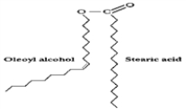 <strong>The structure is an example of a(n):  </strong> A) diacylglycerol. B) triacylglycerol. C) wax ester. D) eicosanoid. E) monoacylglycerol. <div style=padding-top: 35px> 