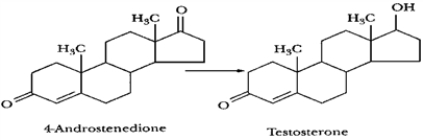 <strong>The reaction below is catalyzed by:  </strong> A) desmolase. B) 17α-hydroxylase. C) 17,20-lyase. D) 17β-hydroxysteroid dehydrogenase. E) none of the above are true. <div style=padding-top: 35px> 
