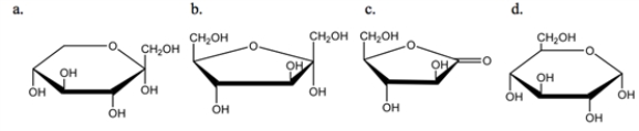 <strong>Which of the following monosaccharides is an aldose?  </strong> A) a B) b C) c D) d E) none of the above <div style=padding-top: 35px> 