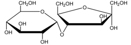<strong>Which of the following best describes the glycosidic bond below?  </strong> A) β(2→4) B) α(1→3) C) α(1→4) D) β(1→3) E) α(2→4) <div style=padding-top: 35px> 