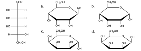<strong>Which of the following would be the correct Haworth projection for β-D-talose (linear form is shown on the left)?  </strong> A) a B) b C) c D) d E) none of the above <div style=padding-top: 35px> 
