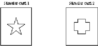 <strong>A monkey is taught that food is associated with a stimulus card that has a star on it.After training,the animal receives a lesion to the lateral prefrontal cortex.The monkey's memory for the food-stimulus card association is then tested by presenting the animal with the two stimulus cards diagrammed here.How will the monkey now respond? </strong> A)The monkey will remember the correct response and choose stimulus card 1 to earn a food reward. B)The memory trace left by the training period will be disrupted by the surgery,and the monkey will randomly select among the stimulus cards. C)The monkey will no longer be able to retrieve old memories,even if the representations are intact,and will randomly select among the stimulus cards. D)The monkey will no longer be able recognize visual patterns and will randomly select among the stimulus cards.