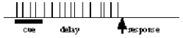 <strong>You conduct a single-cell recording study of a lateral prefrontal cortical cell while an animal performs a delayed-response task.Which of the following response profiles best matches the behavior of the cell if it is primarily involved in working memory function? (Each vertical line represents an action potential. )</strong> A) B) C) D)