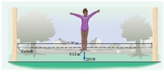 <strong>Diane (weight 255 N)is practicing on a tightrope that is 6.00 meters long and sags by 0.120 meters.When she is in the middle of the rope,what is the force on each eyebolt holding the tightrope? </strong> A) 1.62 \times 10<sup>3</sup> N B) 3.19 \times 10<sup>3</sup> N C) 6.38 \times 10<sup>3</sup> N D) 4.99 \times 10<sup>3</sup> N