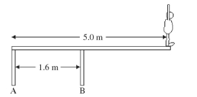 Write the word or phrase that best completes each statement or answers the question. An 82-kg diver stands at the edge of a light 5.0-m diving board, which is supported by two vertical pillars that are 1.6 m apart, as shown in the figure. Find the magnitude and direction of the force exerted by each pillar.