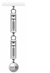 <strong>Choose the one alternative that best completes the statement or answers the question. In the figure, a 10-lb weight is suspended from two spring scales, each of which has negligible weight. Which one of the following statements about the readings in the scales is true? </strong> A) Each scale will read 5 lb. B) The lower scale will read zero, the top scale will read 10 lb. C) Each scale will show a reading between one and 10 lb, such that the sum of the two is 10 lb. However, exact readings cannot be determined without more information. D) The top scale will read zero, the lower scale will read 10 lb. E) None of these is true.