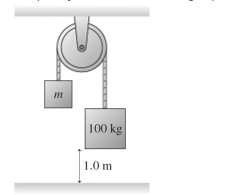 The figure shows a 100-kg block being released from rest from a height of 1.0 m. It then takes 0.53 s for it to reach the floor. What is the mass m of the block on the left? There is no friction or mass in The pulley, and the connecting rope is very light.  