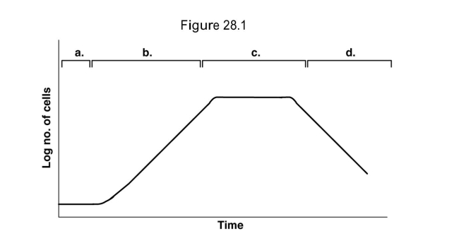 <strong> In Figure 28.1, assume the cells are producing penicillin which is collected during the idiophase. When would you be able to collect the penicillin?</strong> A) a B) b C) c D) d