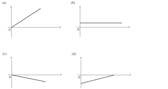 Which of the following graphs represent an object having zero acceleration?