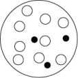 <strong>Which of the solutions shown here will have the highest vapor pressure? White circles indicate solvent molecules; black circles indicate molecules of a nonvolatile solute.</strong> A) B) C) D)