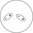 <strong>Which of the following representations best shows the formation of an instantaneous dipole moment between two nonpolar molecules?</strong> A) B) C) D)