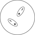 <strong>Which of the following representations best shows the formation of an instantaneous dipole moment between two nonpolar molecules?</strong> A) B) C) D)