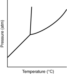 <strong>Consider the phase diagram for a substance shown here. The solid phase is ________ than the liquid phase. </strong> A) more dense B) less dense C) more massive D) less massive E) hotter
