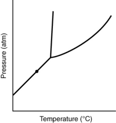 <strong>At the point marked with a dot on the phase diagram, the solid will __________ </strong> A) be indistinguishable from the gas. B) boil. C) melt. D) sublime. E) liquify.