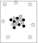 <strong>Which particle-level diagram is the best representation of a ion? </strong> A) B) C) D)
