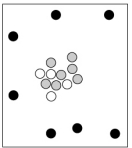 <strong>Which particle-level diagram is the best representation of a ion? </strong> A) B) C) D)