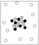 <strong>Which particle-level diagram is the best representation of a ion? </strong> A) B) C) D)