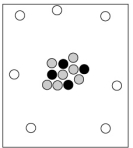 <strong>Which particle-level diagram is the best representation of a ion? </strong> A) B) C) D)