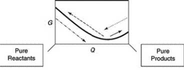 A sketch of the free energy versus Q for a hypothetical chemical equilibrium is shown here. The stress to the equilibrium by adding more reactants is shown by which arrow?