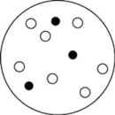 <strong>Which of the solutions shown here will have the lowest vapor pressure? White circles indicate solvent molecules; black circles indicate molecules of a nonvolatile solute.</strong> A)   B)   C)   D)   <div style=padding-top: 35px> 