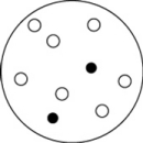 <strong>Which of the solutions shown here will have the lowest vapor pressure? White circles indicate solvent molecules; black circles indicate molecules of a nonvolatile solute.</strong> A)   B)   C)   D)   <div style=padding-top: 35px> 
