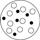 <strong>Which of the solutions shown here will have the highest vapor pressure? White circles indicate solvent molecules; black circles indicate molecules of a nonvolatile solute.</strong> A)   B)   C)   D)   <div style=padding-top: 35px> 
