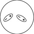 <strong>Which of the following representations best shows the formation of an instantaneous dipole moment between two nonpolar molecules?</strong> A) B) C) D)