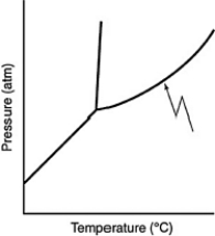 <strong>What does the line indicated by the arrow in the following phase diagram represent? </strong> A) solid-liquid boundary B) solid-gas boundary C) liquid-gas boundary D) triple point E) solid-solid boundary