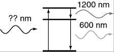 <strong>An atom in its ground state absorbs a single photon of light and then relaxes back to the ground state by emitting an infrared photon (1,200 nm) followed by an orange photon (600 nm). What is the wavelength of the photon that was absorbed initially?  </strong> A) 600 nm B) 1,200 nm C) 1,800 nm D) 900 nm E) 400 nm <div style=padding-top: 35px> 