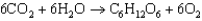 (1)    (2) Oxygen goes from <font face=symbol></font>2 to 0, so it is oxidized. (3) Carbon goes from <font face=symbol></font>4 to 0, so it is reduced. (4) To produce a molecule of glucose, 6 atoms of carbon must each receive 4 electrons to reduce their oxidation number from <font face=symbol></font>4 to 0. So to produce a mole of glucose, 24 moles of electrons must be transferred.