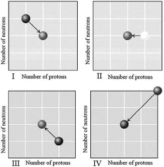 <strong>Which graph below illustrates <font face=symbol></font> decay? </strong> A)I B)II C)III D)IV