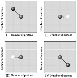 <strong>Which graph below illustrates neutron capture followed by <font face=symbol></font>decay? </strong> A)I B)II C)III D)IV
