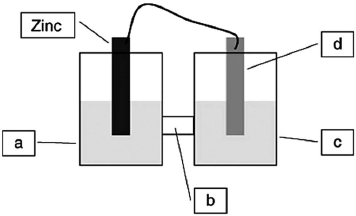 <strong>A voltaic cell is constructed based on the oxidation of zinc metal and the reduction of silver cations. Solutions of silver nitrate and zinc nitrate also were used. Locate the silver metal on the diagram. </strong> A)a B)b C)c D)d