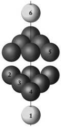 <strong>What type of packing best describes the layering pattern shown below? </strong> A)body-centered closest-packed B)hexagonal closest-packed C)random-packed D)cubic closest-packed E)cubic packing