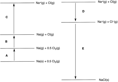 <strong>In the following Born-Haber cycle for the formation of sodium chloride from its elements, which step (A-E) corresponds to the lattice energy for NaCl? </strong> A)A B)B C)C D)D E)E