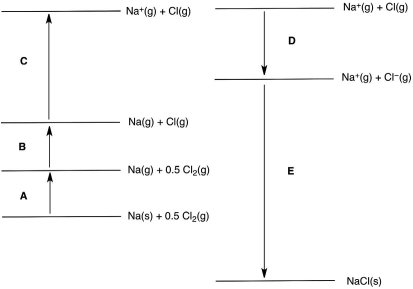 <strong>In the following Born-Haber cycle for the formation of sodium chloride from its elements, which step (A-E) corresponds to a molar heat of sublimation for one of the reactants? </strong> A)A B)B C)C D)D E)E