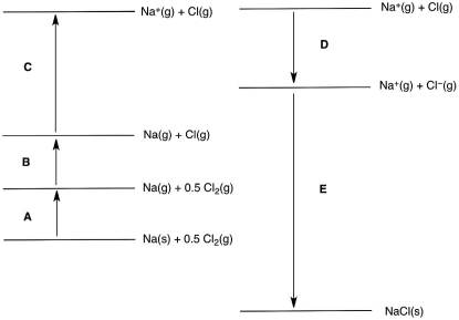 <strong>In the following Born-Haber cycle for the formation of sodium chloride from its elements, which step (A-E) corresponds to the electron affinity of one of the intermediate species? </strong> A)A B)B C)C D)D E)E
