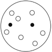 <strong>Which of the solutions shown here will have the lowest vapor pressure? White circles indicate solvent molecules; black circles indicate molecules of a nonvolatile solute.</strong> A) B) C) D)
