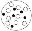 <strong>Which of the solutions shown here will have the highest vapor pressure? White circles indicate solvent molecules; black circles indicate molecules of a nonvolatile solute.</strong> A) B) C) D)