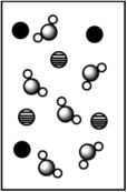 <strong>When potassium bromide dissolves in water, which picture best represents the solution? </strong> A) B) C) D)