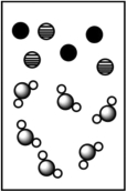<strong>When potassium bromide dissolves in water, which picture best represents the solution? </strong> A) B) C) D)