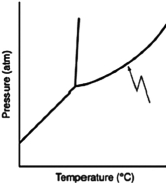<strong>What does the line indicated by the arrow in the following phase diagram represent? </strong> A)solid-liquid boundary B)solid-gas boundary C)liquid-gas boundary D)triple point E)solid-solid boundary