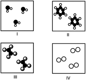 Which of the following molecules have identical molecular and empirical formulas?