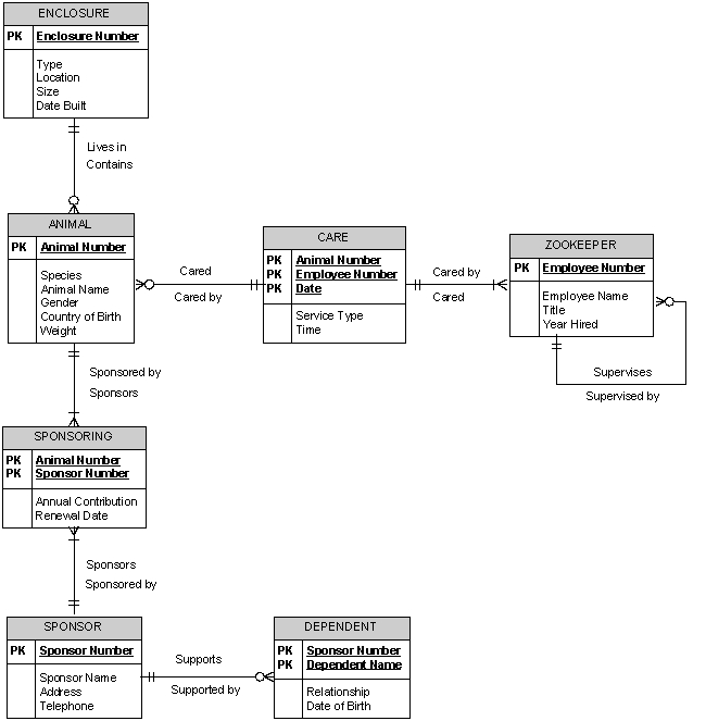 Convert the following Central Zoo entity-relationship diagram into a relational database.