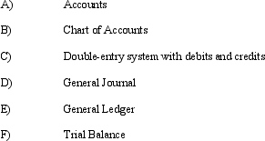 Several terms which represent components of an accounting system are listed below. For each term, write a brief explanation of how that component is used in the accounting cycle.