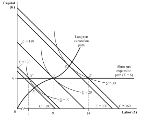Use the following to answer question: Figure 7.19 (Figure 7.19) Where the firm is producing, at point Y, graph the: