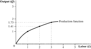 Use the following to answer question: Figure 6.14 (Figure 6.14) Refer to the production function, which has a slope of 1/L<sup>0.5</sup>.