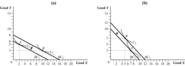 Use the following to answer question: Figure 5.23 (Figure 5.23) In panel (a), the price of good X is $1.50 per unit and the price of good Y is $3 per unit. In panel (b), the consumer's income increased from $400 to $480.
