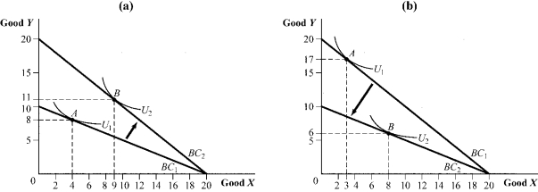 Use the following to answer question: Figure 5.35 For a constant income, the cross-price elasticity of demand between good X and Y in figure A is _____. In figure B it is _____